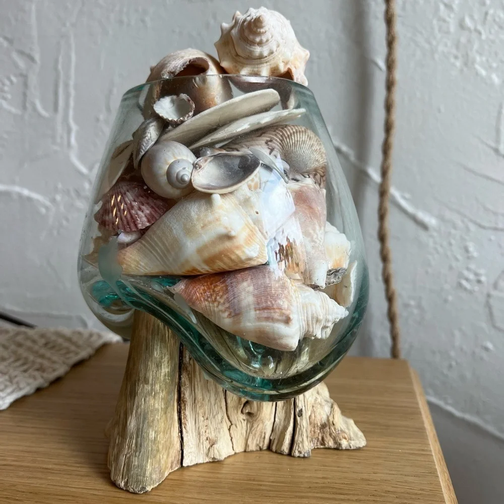 Molten Glass on Driftwood Sculpture – Coastal Vase or Shell Display, Ocean Decor